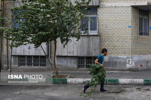 پیش بینی وزش باد در تهران تا ۵ روز آینده