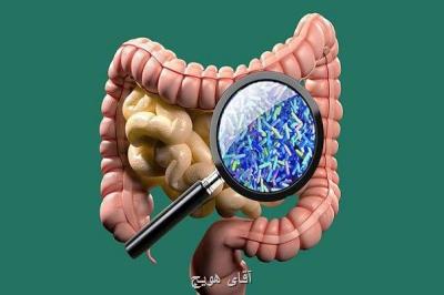 شیرین کننده های کم کالری در بهبود سلامت روده ها موثرند