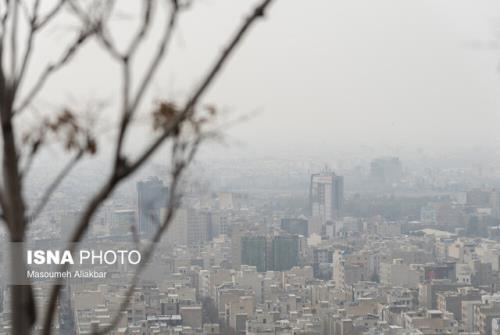 سفارش های تغذیه ای در آلودگی هوا