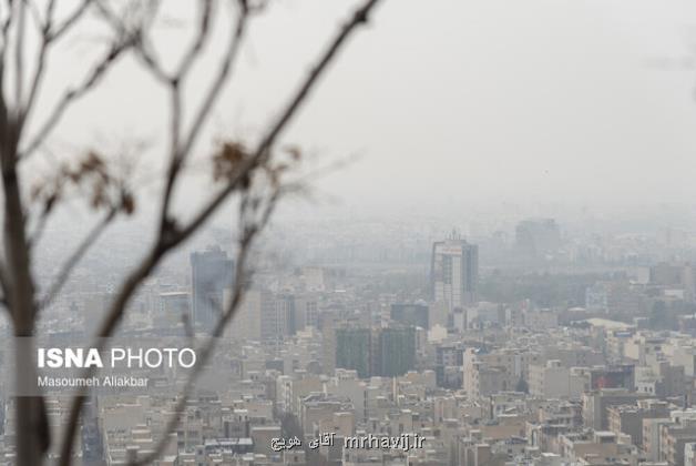 سفارش های تغذیه ای در آلودگی هوا