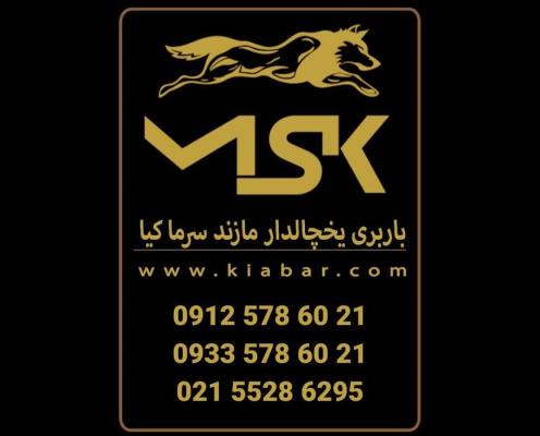 ماشین باربری یخچالی