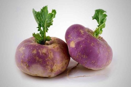 شلغم قاتل یبوست است