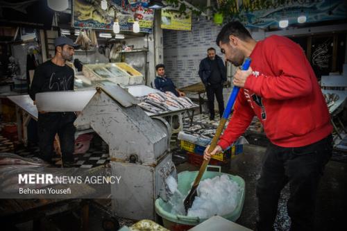 ماهی بعنوان یک غذای فراسودمند نقش مهمی در سلامت جامعه دارد
