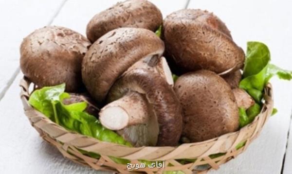 فیبر رژیمی موجود در قارچ به هضم غذا و کاهش وزن کمک می کند