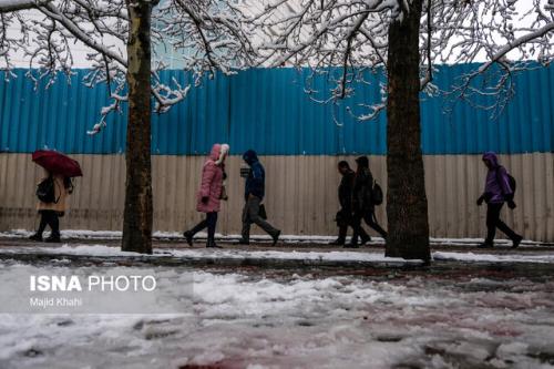 اخطار نارنجی هواشناسی برای تهران احتمال یخ زدگی سطح زمین و خطر شکستن درختان کهنسال