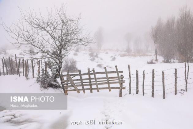 بارش برف و باران طی برخی ساعات در تهران
