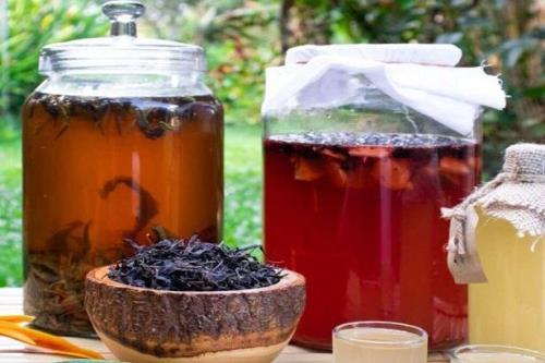 نوشیدن چای کامبوچا می تواند به کاهش چربی کمک کند