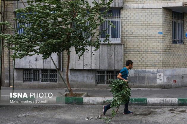 وزش باد شدید با سرعت 76 کیلومتر بر ساعت در پایتخت