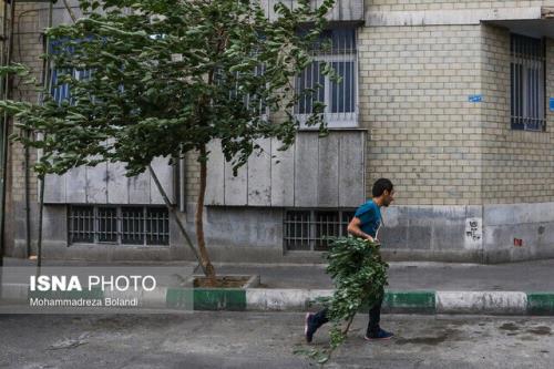 وزش باد شدید در 9 استان و اخطار به ناوگان حمل و نقلی