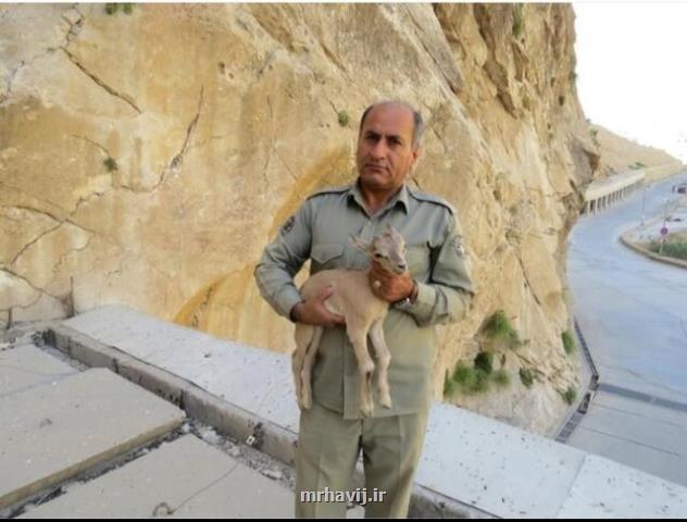 توضیحات دادستان یاسوج درباره ی پرونده شهادت محیط بان خاییز