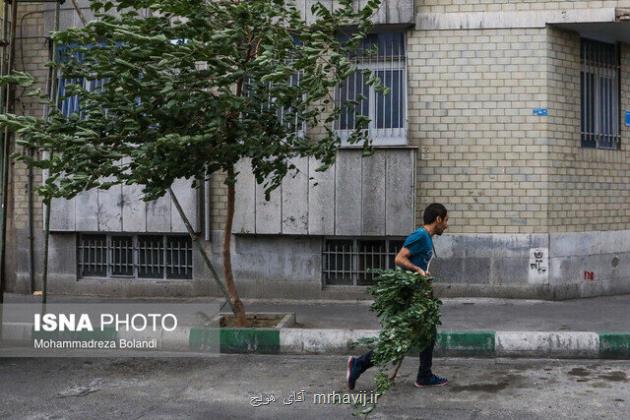 وزش باد شدید در 9 استان و اخطار به ناوگان حمل و نقلی