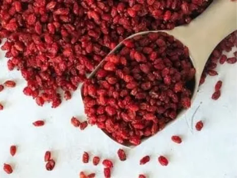 زرشک چطور به تعادل صفرا و سلامت کبد کمک می کند؟