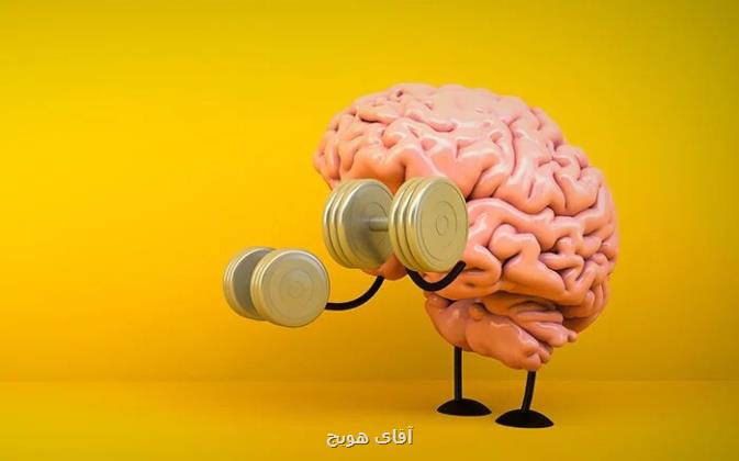 عملکرد مناسب مغز با مصرف این ماده معدنی