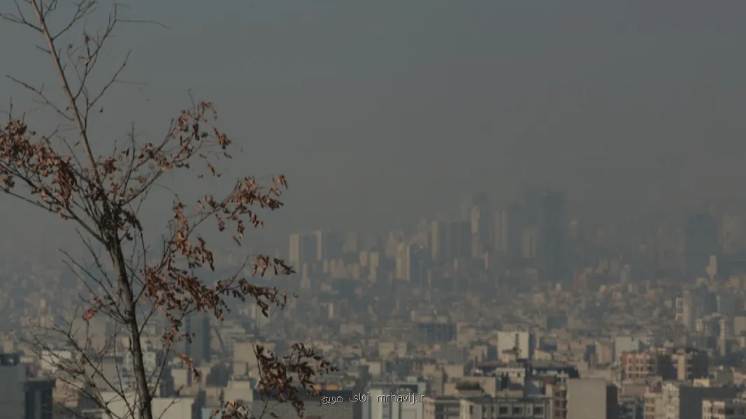 تاثیر منفی تخریب محیط زیست و آلودگی هوا بر روی سلامتی افراد