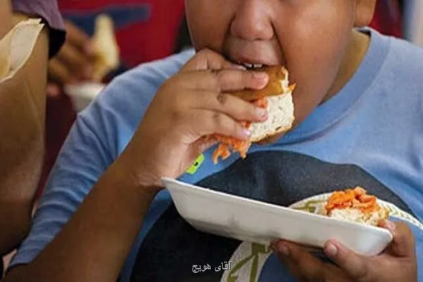 ارتباط غذا خوردن در بیرون از خانه با خطر چاقی