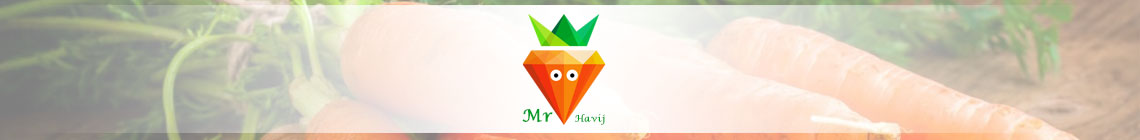 Mr.Havij