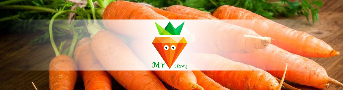 آقای هویج MrHavij